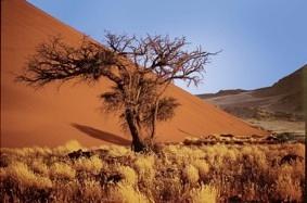 Next Trips Namibia 2 weeks