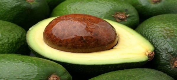 Avocado Market Trends and Prices November 2016 Market trends November 2016 The demand has not picked up in November and the market remained with unbalanced sizes profile.