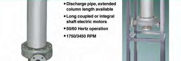 Long coupled or integral shaft motors