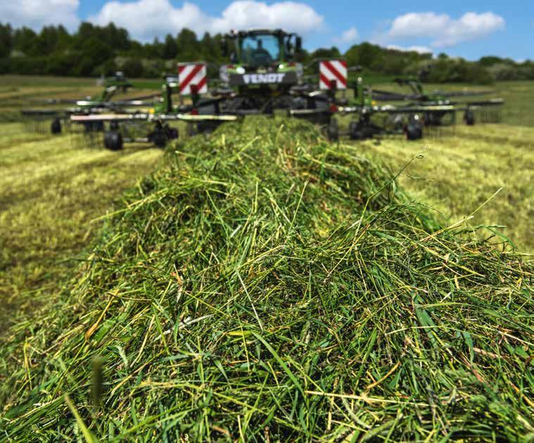 TECHNICAL HIGHLIGHTS MULTI-ROTOR HAY RAKES Convincing technologies. Break-through patents. On a safer track: the steerguard steering system Not all steering is equal.