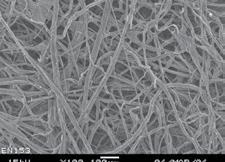 SEM 1X SEM 6X MEDIA IMAGE While cellulose provides effective filtration for a wide variety of petroleum-base fluids, in certain applications it results in poor filtration performance