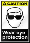 SAFETY Wear eye protection: Safety Alert Symbol: This safety alert symbol indicates a potential