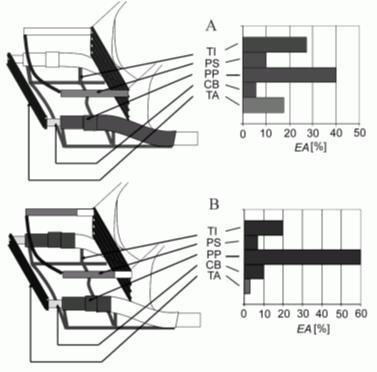 seats cross-member TS Figure 4.3: Contributions of front frame single members in terms of front crash energy absorption EA.
