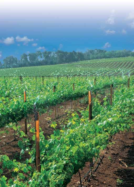 FLIPPER The most economical frost protection for vineyards STRUCTURE AND FEATURES Spreads water in a very long and narrow strip,
