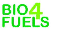 National Transport Plan Bio4Fuels Biofuels need to be