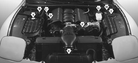 Engine Compartment Overview When you open the hood, you ll see the following: A. Coolant Surge Tank and Pressure Cap B. Battery C. Engine Oil Dipstick D. Engine Oil Fill Cap E.