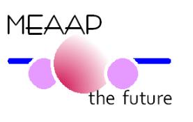 MEAAP Framework Supporter Observer