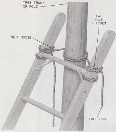 UNDER CABLE AND STRAND, EXTEND LADDER TO POSITION SHOWN Fig. 8-C Ladder Support Fig. 6-Ladder Lashed to Tree or Pole 3.