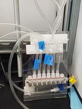 with 1,000 ppm HPAM, by the end of experiment.