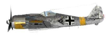 It was used among other roles as ground attack, night fighter, torpedo-bomber and interceptor.
