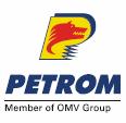 VCM to buy 1 1 1 65 65 59-1 Ethylene to buy 72 72 72 72 72 9 162 Production of Petrom, KT