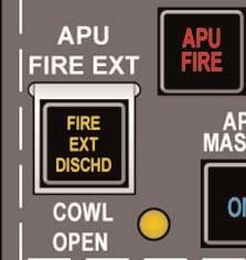 YES, THE APU WILL AUTOMATICAL- LY SHUT DOWN DURING GROUND OR FLIGHT OPERATION IF THE APU FIRE DETECTION CIRCUIT DETECTS A FIRE EXCEPT