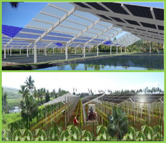 Les Cèdres Solar Plant with Energy Storage La Reunion, Indian Ocean Project overview Les Cèdres project enabled the End User, Integrated Organic Fishery & Farm to offset energy costs by choosing