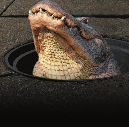 Sanitary Sewers Clean intricate networks of underground pipes, pumps and lift stations to enable visual inspection Storm Sewers Remove dirt, grit and other debris build up from storm sewer lines,