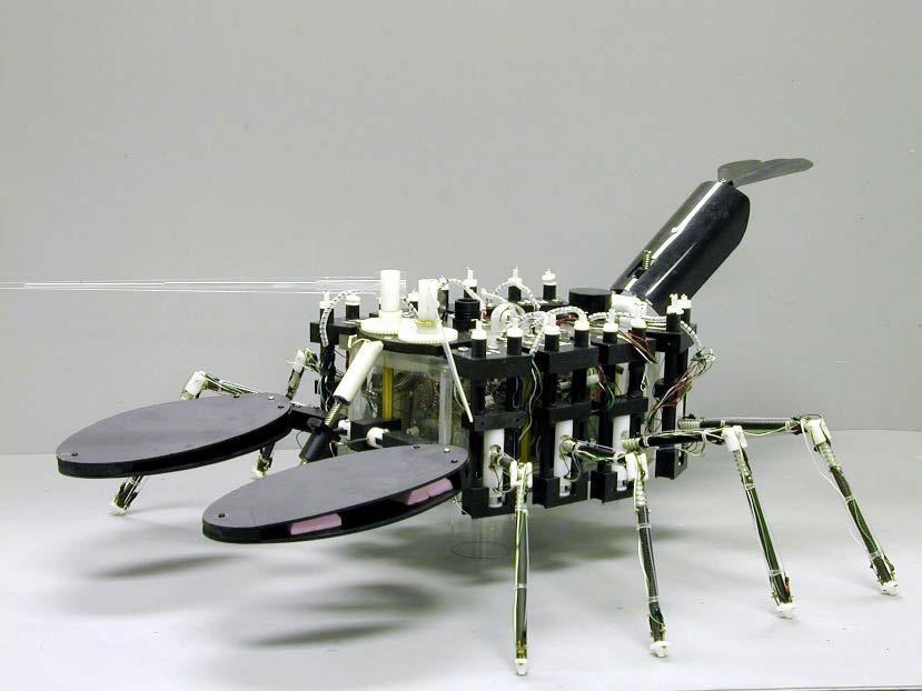 Robot Lobster, an example A robot lobster developed at Northeastern University used SMAs very cleverly The force levels required for the lobster s legs are not