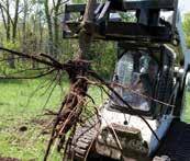 Guard Root Ripper to Loosen Trees Fully