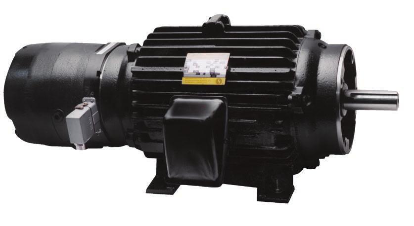 MOTORS BLACK MAX MOTORS Economical model designed to meet the needs of more common crane applications Capable of a