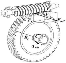 II. ANALYSIS OF THE WORM GEAR FORCES The material of the gear surface contacting with steel worm shaft is Nylon.