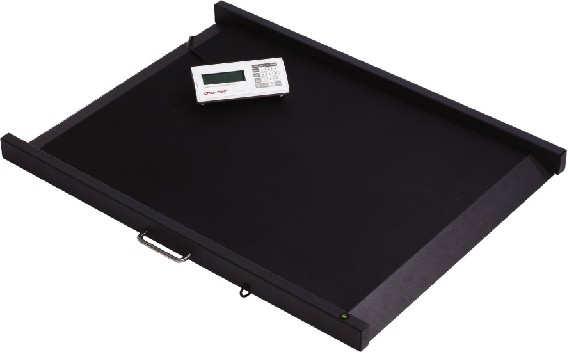 MS 3800 Medical Scale USER MANUAL Please keep the