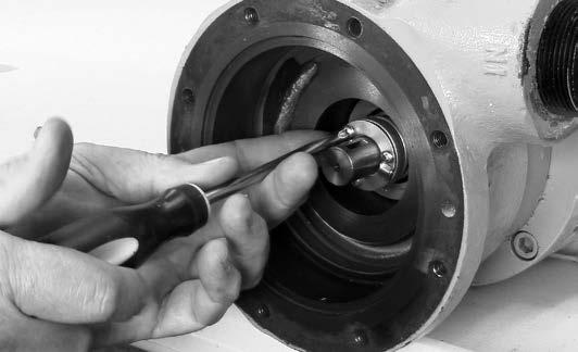 As long as it can be shimmed for proper clearance, the impeller may be re-used.