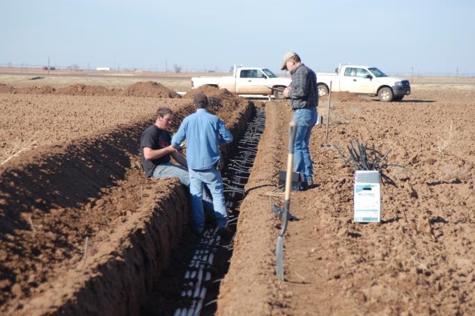 Soil Profile Depth (ft) Sesonl Irrigtion Wter Use Efficiency (lb/c-in) Soil ProfileDepth (ft) Grin Sorghum Yield (lb/c) Grin Sorghum Irrigtion Timing Using Subsurfce Drip Irrigtion (SDI) (Field 2).