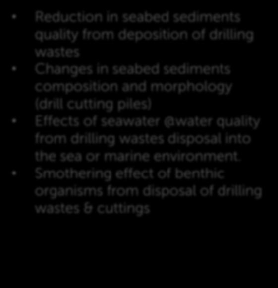 drilling wastes Changes in seabed sediments composition and