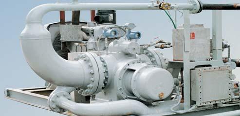 The scope of supply includes the bare pump as well as the complete skid mounted MPPunit
