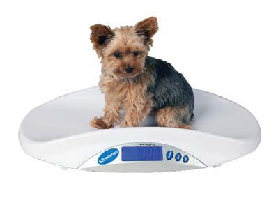 Veterinary Scales MS-15 Accuracy +/- 3 divisions Capacity 20 kg / 44 lb Construction ABS plastic with removable weighing tray Power Four AA Batteries (included) Display 25 mm / 1.