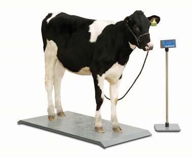 PS1000 Shown with optional indicator stand Veterinary Scales PS1000 / PS2000 Accuracy Within 0.