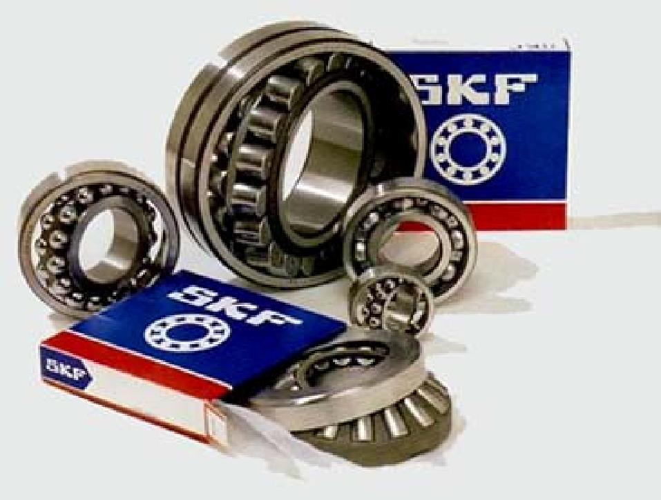3. SKF Bearings Two SKF bearings ensure the reliability the longevity of our generator. Wide temperature ranges: operation in the high temperature (150-350ºC).