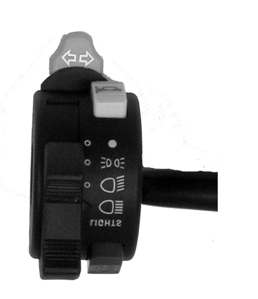 20. System Checkout Turn Signal Switch Kill Button when the bikes electrical output is low.