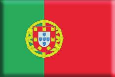 PORTUGAL With FEELPURE 5 years reduction for your goods transport truck VEHICLES AFFECTED In Portugal there aren t LEZ but the Portuguese Government allows a 5 years reduction on the age limit (15