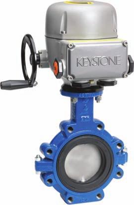 Tyco Flow Control brings together several of the world s premier brands of butterfly valves and controls developed for process industries.