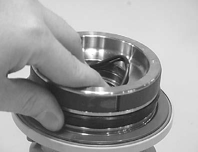 Install the inner T-seal (200) into the appropriate groove in the piston (03).