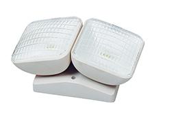 Remote Lamp Heads Pace offers both single and double remote lamps for indoor and outdoor applications.