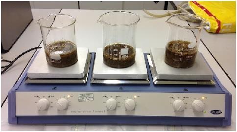 Methodology Pre-treating Biomass Water-washing pre-treatment - 1g Biomass
