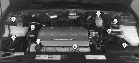 4.0L V8 Engine When you open the hood, you ll see: A. Remote Positive (+) Battery Terminal B. Windshield Washer Fluid Reservoir 6-10 C. Power Steering Fluid Reservoir D.