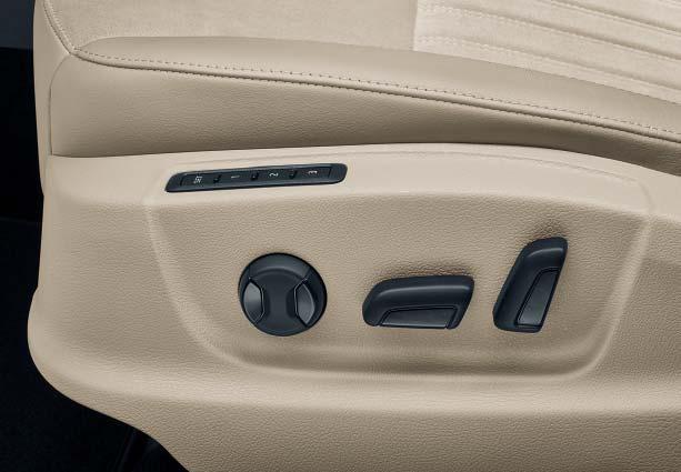 DSG (Direct Shift Gearbox), can be equipped with heating function, controlled via the infotainment system.