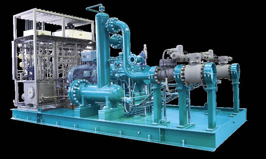 These pump systems include variable speed drives, external lubrication systems, filtration systems, extended pipings with valves, various