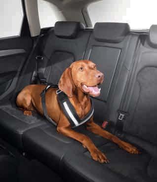 With reflective strips in the chest area. Can also be used as a harness for use outside the vehicle.