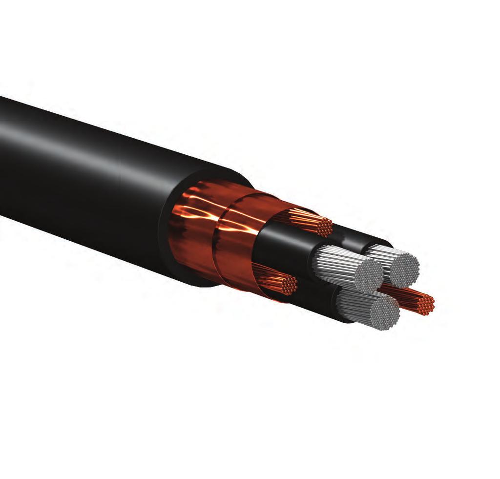 Be Certain with Belden Belden VFD Cables Deliver Top Performance in Any Environment VFD Cable Features: Classic Foil/Braid Designs Applicable for Use With: Belden now offers Marine certified, ABS DNV