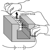 The Motor Effect If a wire carrying a current is