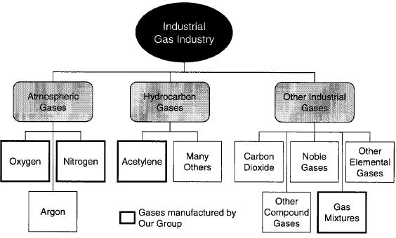 Figure 5: Industrial gas industry Management background.