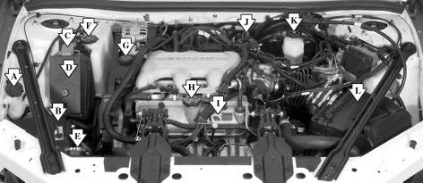 Engine Compartment Overview When you open the hood, you will see: A. Windshield Washer Fluid Reservoir B. Battery C. Remote Positive (+) Battery Terminal 6-10 D.