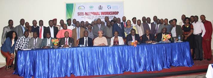 Follow-up Sub-regional workshop A follow up sub-regional for Nigeria and neighboring countries was held in June 2016 - Nigeria, Ghana, Togo, Benin and Cote d Ivoire, and ECOWAS Participants