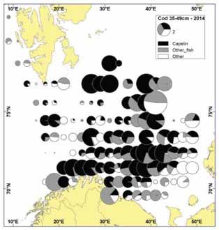 composition by cod size group in, by