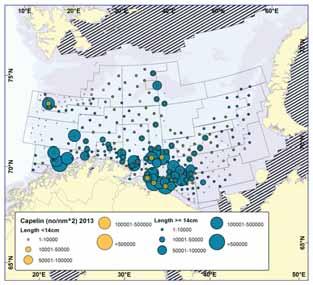 10 Distribution and abundance of capelin, polar cod and blue whiting 10.