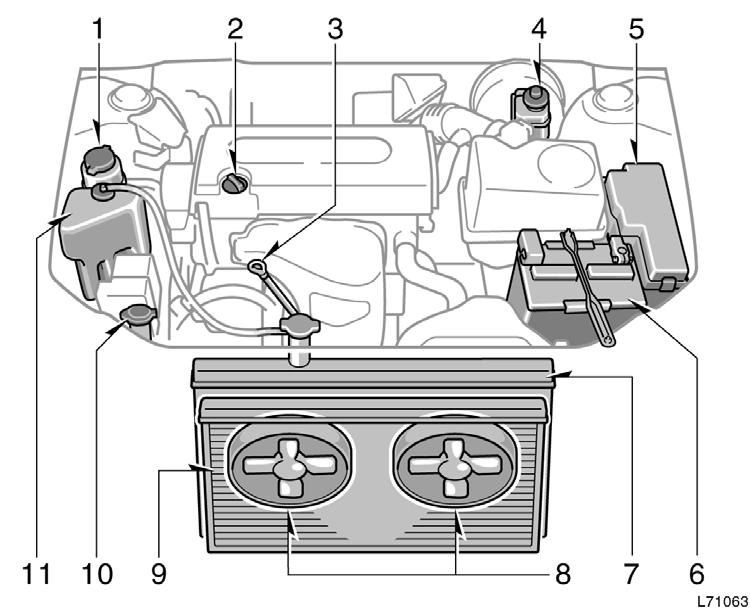 Engine compartment overview 2AZ FE engine 1. Power steering fluid reservoir 2. Engine oil filler cap 3. Engine oil level dipstick 4.