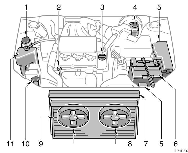 1MZ FE engine 1. Power steering fluid reservoir 2. Engine oil level dipstick 3. Engine oil filler cap 4. Brake fluid reservoir 5.