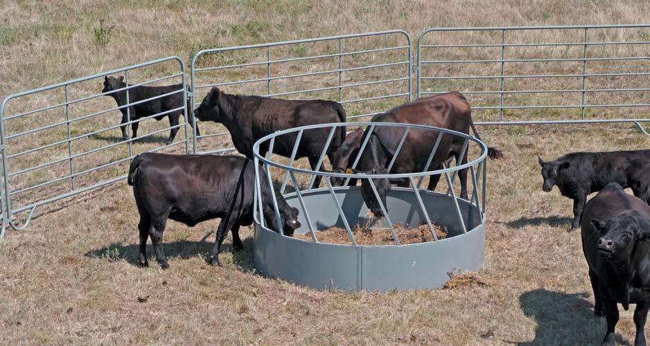 Big Round Bale Feeders Each Section has its own End Support made of 1½" x 1½" x 1 8" Angle Iron Efficient Feeding, Strong Construction for Years of